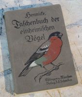 Hennicke Taschenbuch der einheimischen Vögel, antik