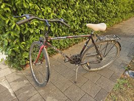 Velo Alpina DXF-3000 fast geschenkt