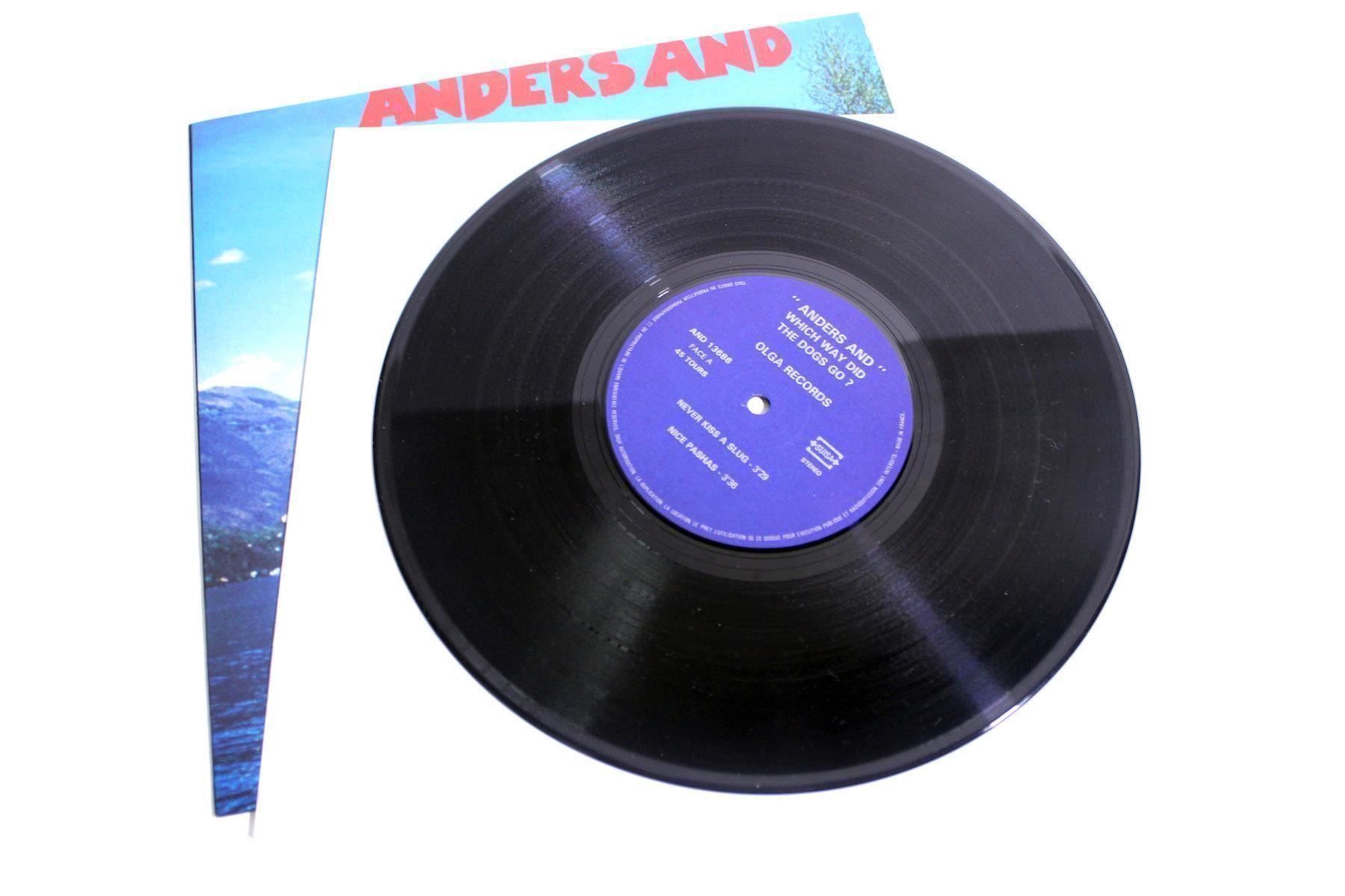 CD: ANDERS AND: Which Way Did The Dogs Go? – Usato da Bern venduto da kultiges 7