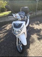 Toller Peugeot LXR 125 cm3 mit frischem Service