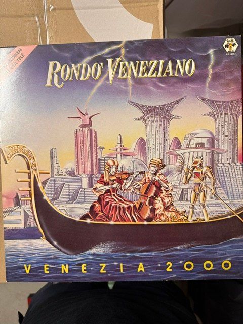 Dischi in vinile: Vinyl Langspielplatte – Usato da Sissach venduto da rol_w8lr