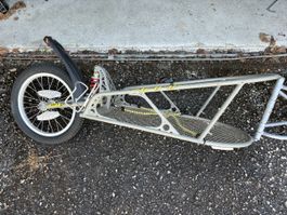 Veloanhänger BOB Ibex