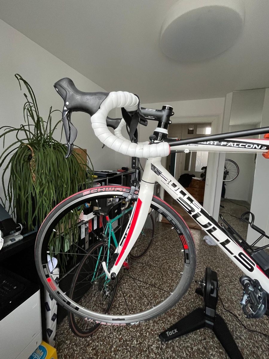Bulls Biciclette: Bulls Rennvelo – Usato da St. Gallen venduto da shonater 2