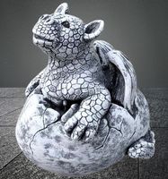 🐲 Deko Drache "Baby-Neuling" 🐣💫