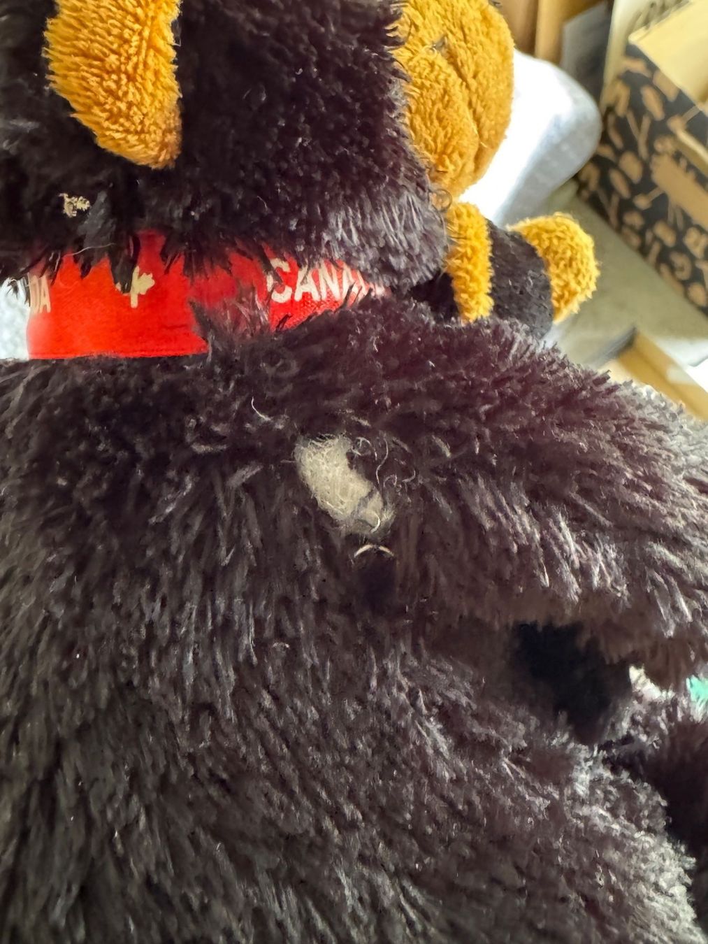 Giocattoli: Ours en peluche du Canada – Usato da Jussy venduto da ali_6d7d 1