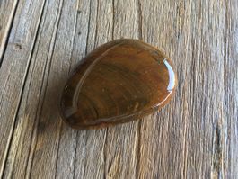 VERSTEINERTES HOLZ  HANDSCHMEICHLER / TASCHENSTEIN