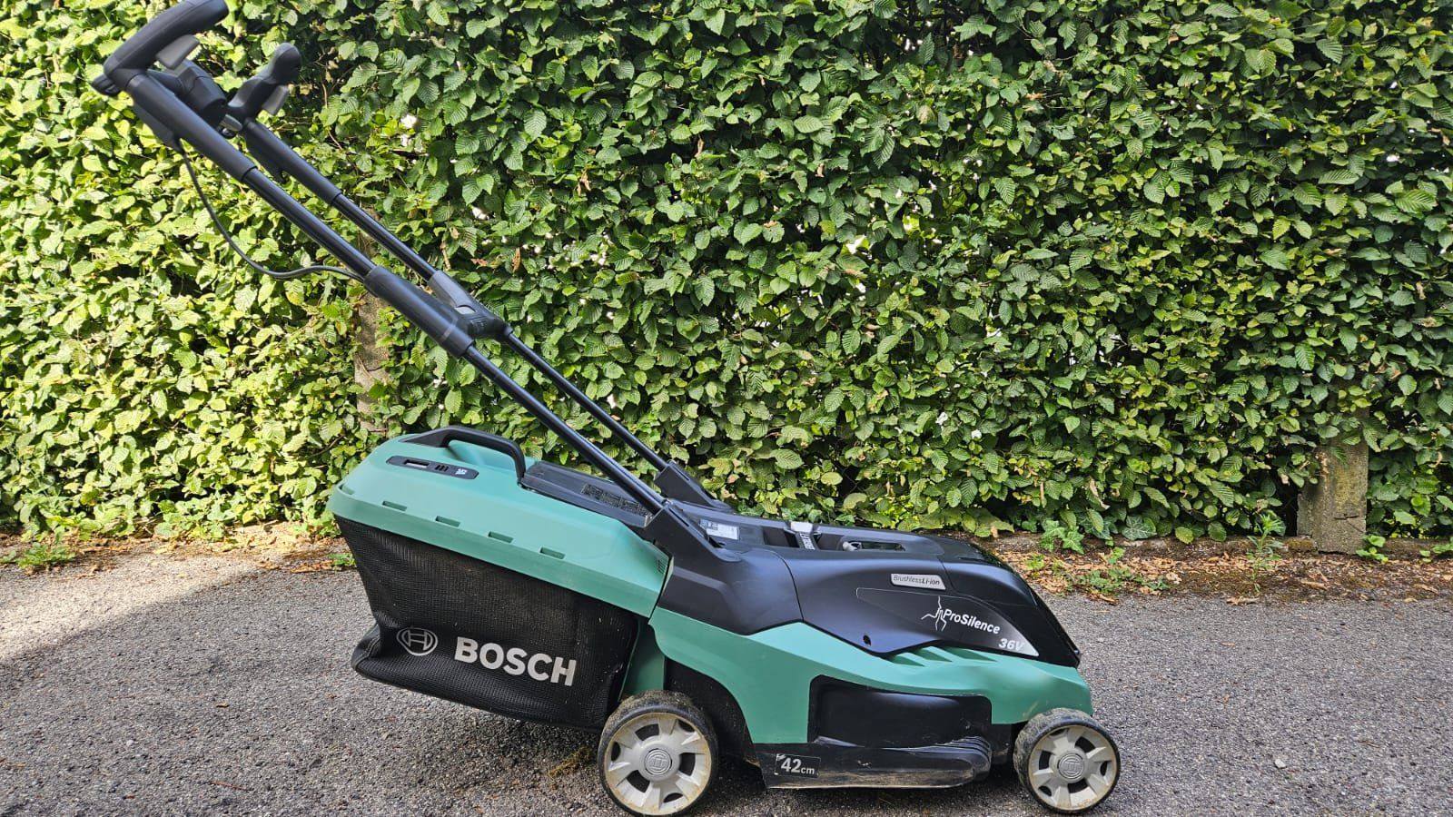 Bosch Rasenmäher: Akkurasenmäher Bosch – Gebraucht aus Liebefeld von liw_nf89 1