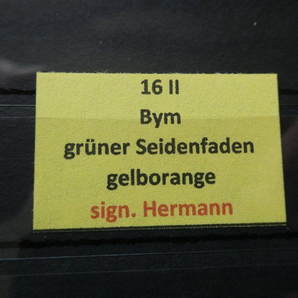 Alle Briefmarken: STRUBEL°  16 II Bym  sign. Hermann – Gebraucht aus Egliswil von Trens01 3