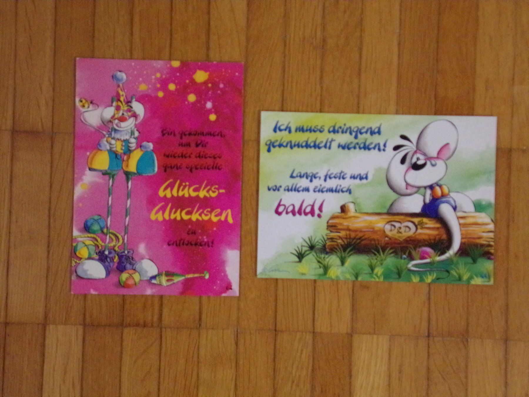 Cartoline postali: Diddl Postkarten    2 Stück     Set O9 – Usato da Winterthur venduto da Jessi_di
