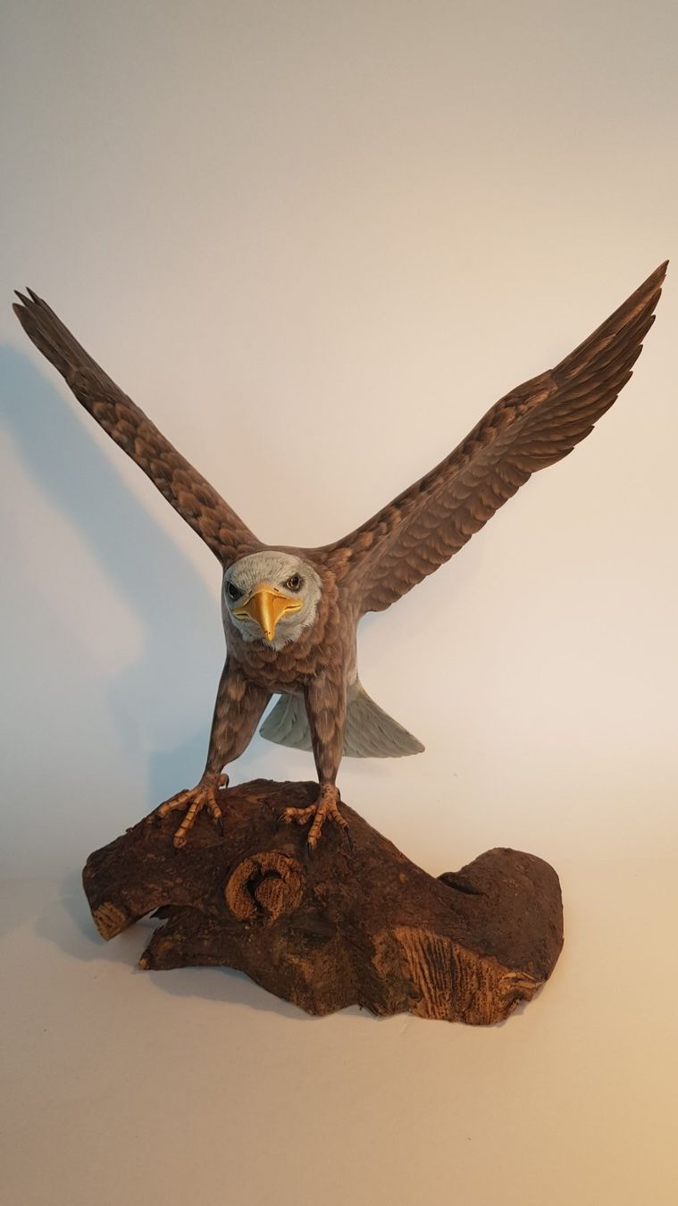Statuette: Grosser Weisskopfadler – Usato da Horw venduto da Kunstreich7 6