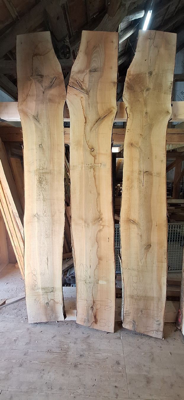 Articoli in legno: Nussbaumbretter 3m, 50mm – Nuovo (secondo la descrizione) da Waldkirch venduto da bauprofi87