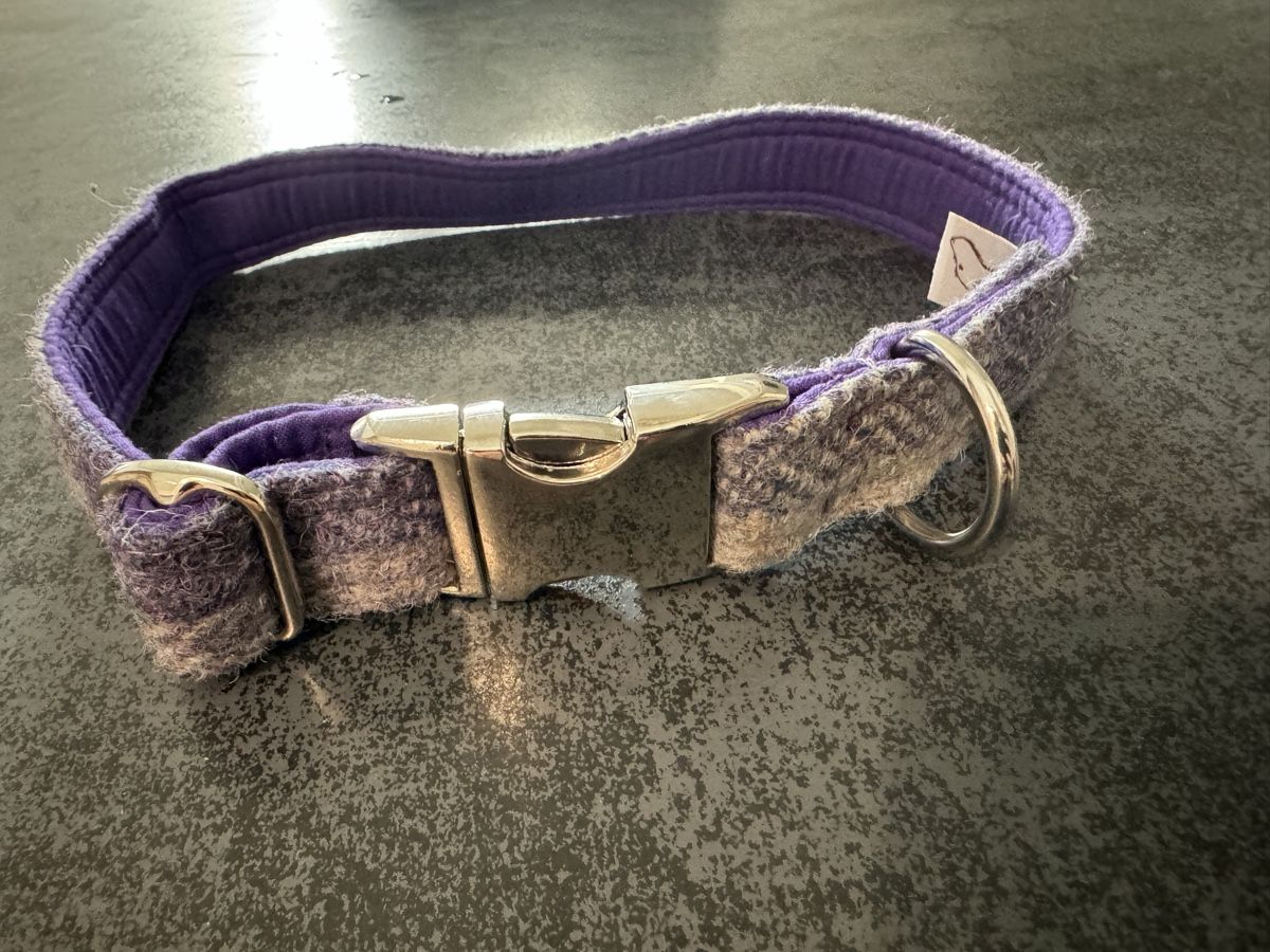 Guinzagli & Collari: Hundehalsband Violett/Silber – Nuovo e nell'imballaggio originale da Niederglatt ZH venduto da vul_v86c 1