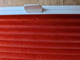 Faltrollo Fensterrollo / Plissee 905 x 890 mm