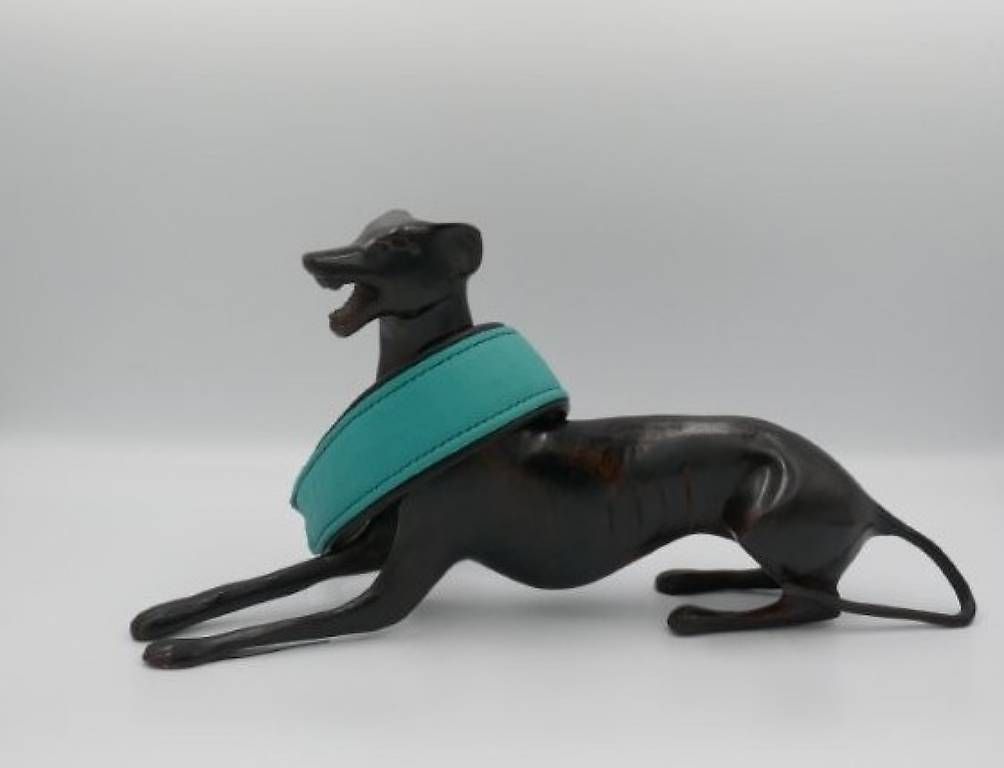 Catenine: Colliers lévriers Whippet cuir  – Usato da Mollens VD venduto da joyandbeauty 3