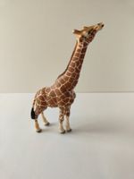 Schleich Giraffe Rarität Wild Life Zoo Safari