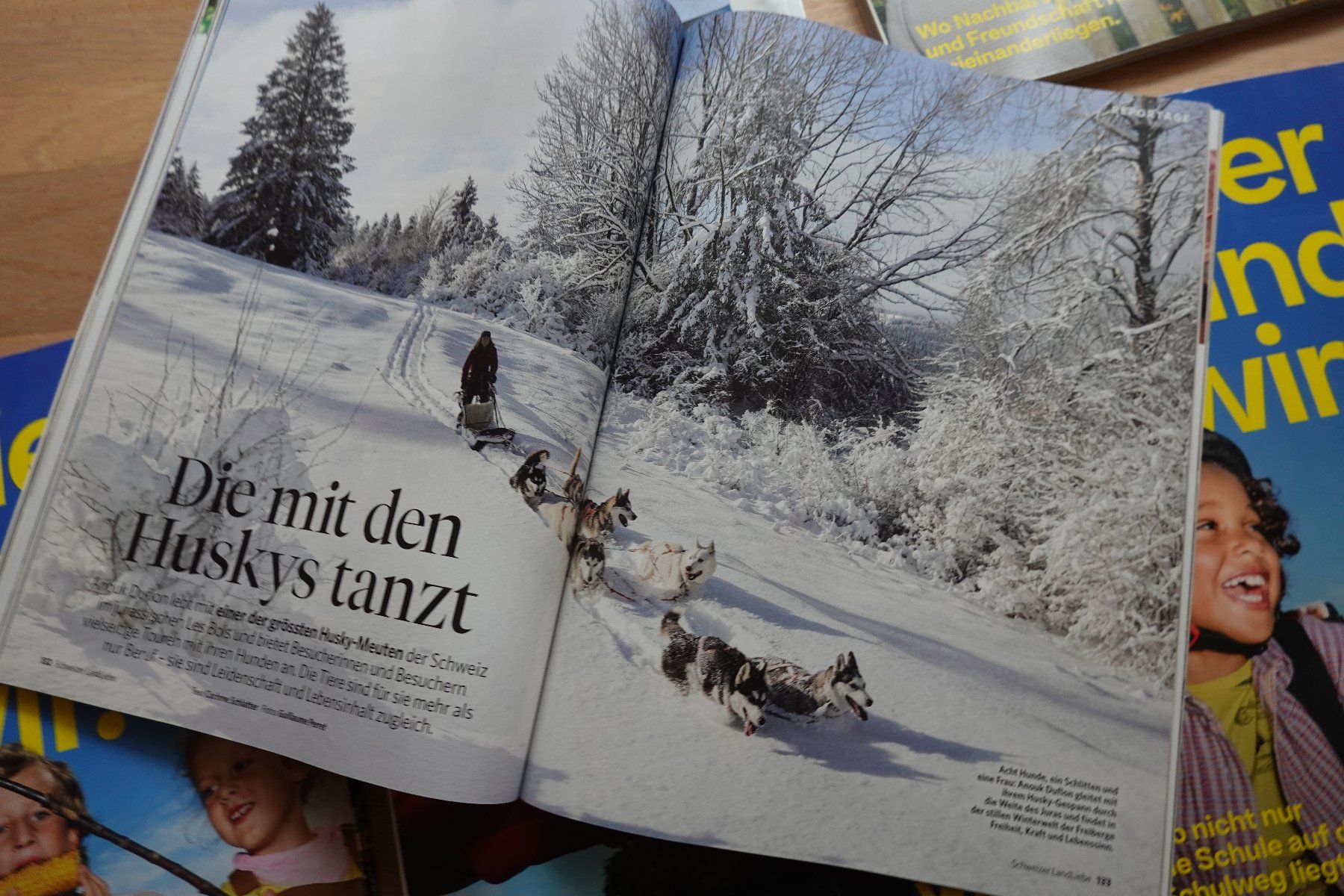 Riviste & Magazine: 6 Schweizer LandLiebe Magazine Schweiz 2025 Garten Kochen... – Usato da Jona venduto da simongarden 2