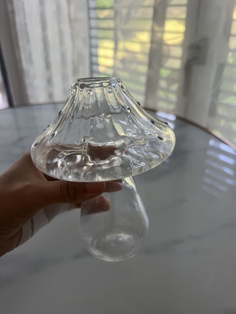 Tutte le decorazioni: Glasvase Pilz Design transparent – Usato da Zürich venduto da R1908 1