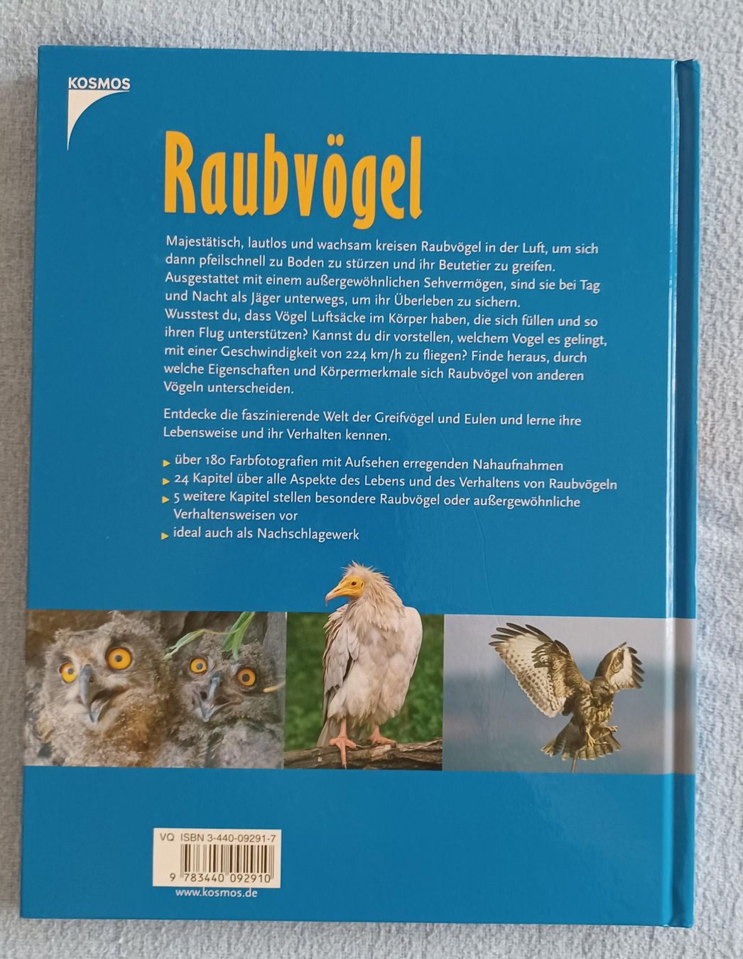 Libri: Buch - Raubvögel – Usato da Leimbach TG venduto da manu-tg 1