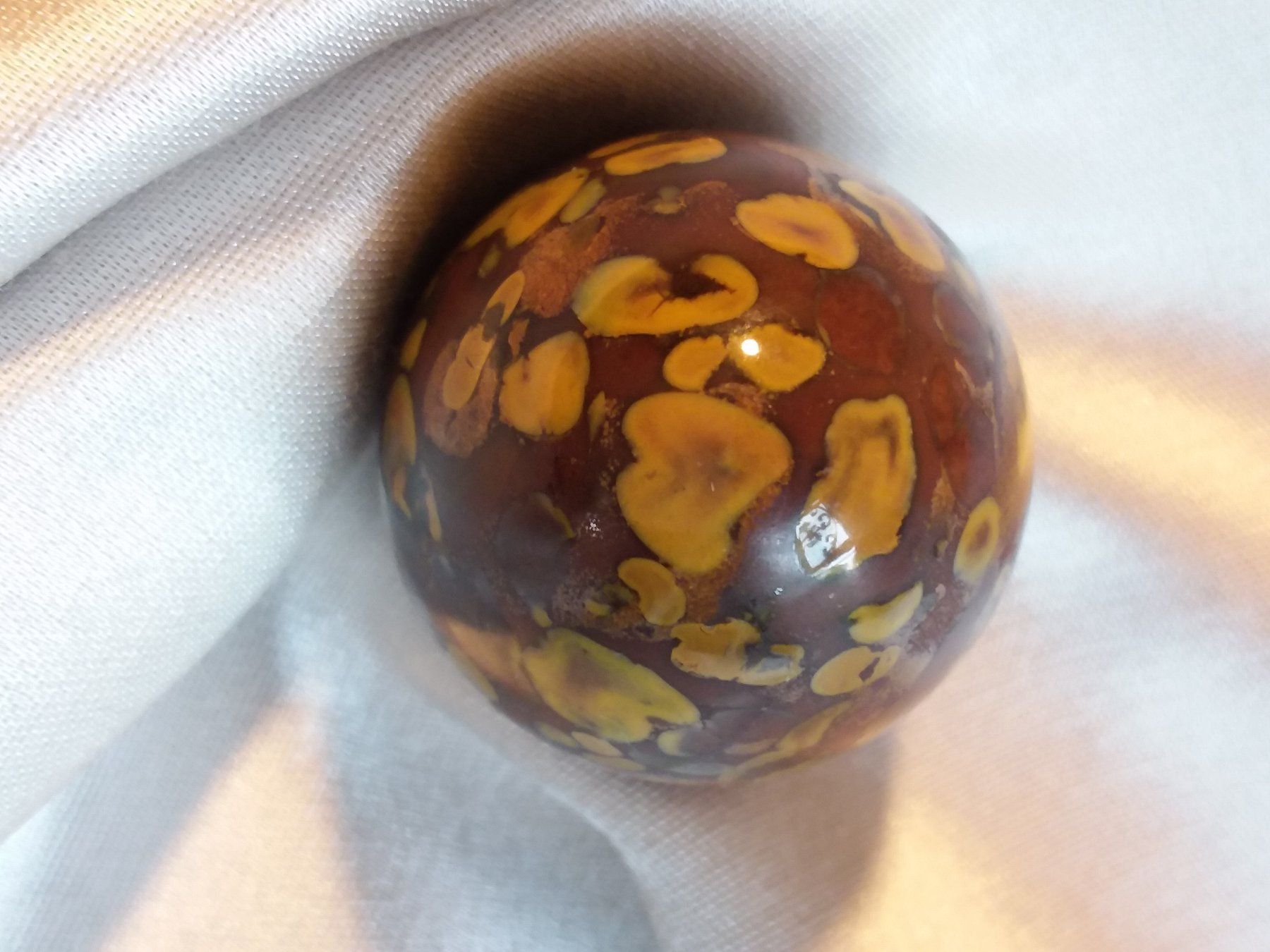 Fossili: Fossiles Korallen Ei, Jasper, Mineral – Usato da Zürich venduto da helsan 5