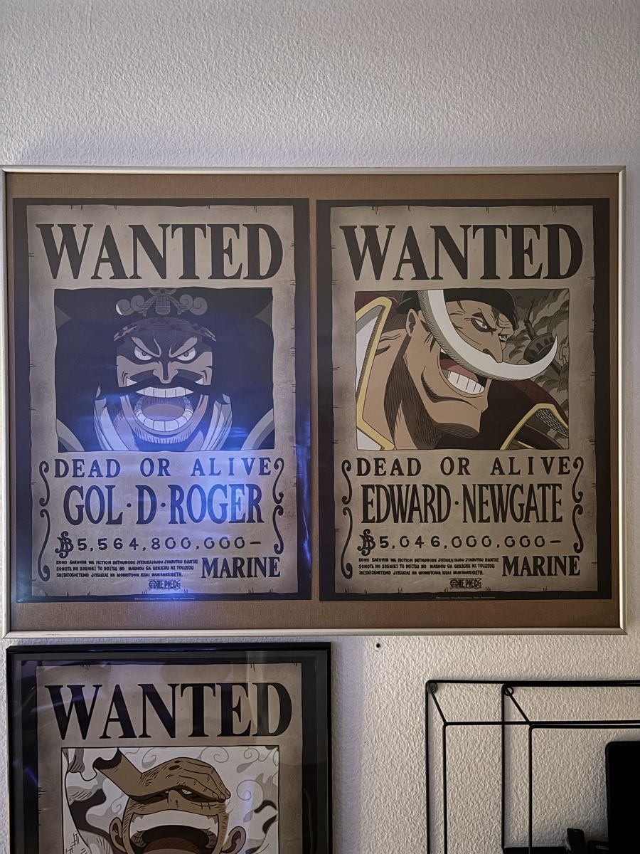 Foto & Immagini: One piece poster – Usato da Steinhausen venduto da anto_46s8n 2