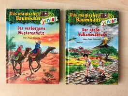 2 Das magische Baumhausbücher junior