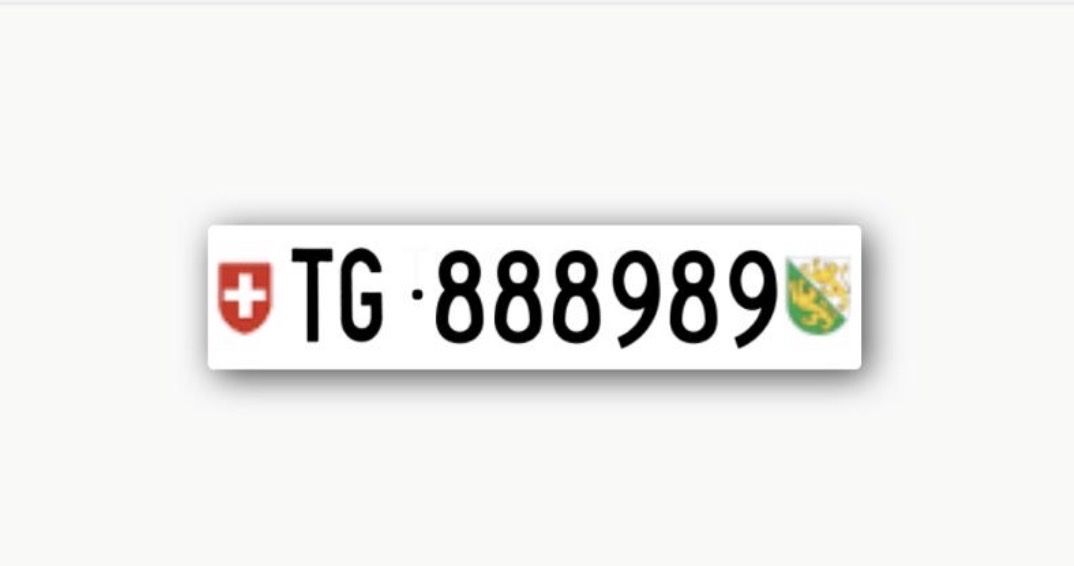 Insegne: TG 888989 – Nuovo (secondo la descrizione) da Bern venduto da Bajixx
