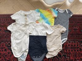 6 Sommer-Bodies Gr. 62/68 – Kurzarm-Set für 2–4 Monate
