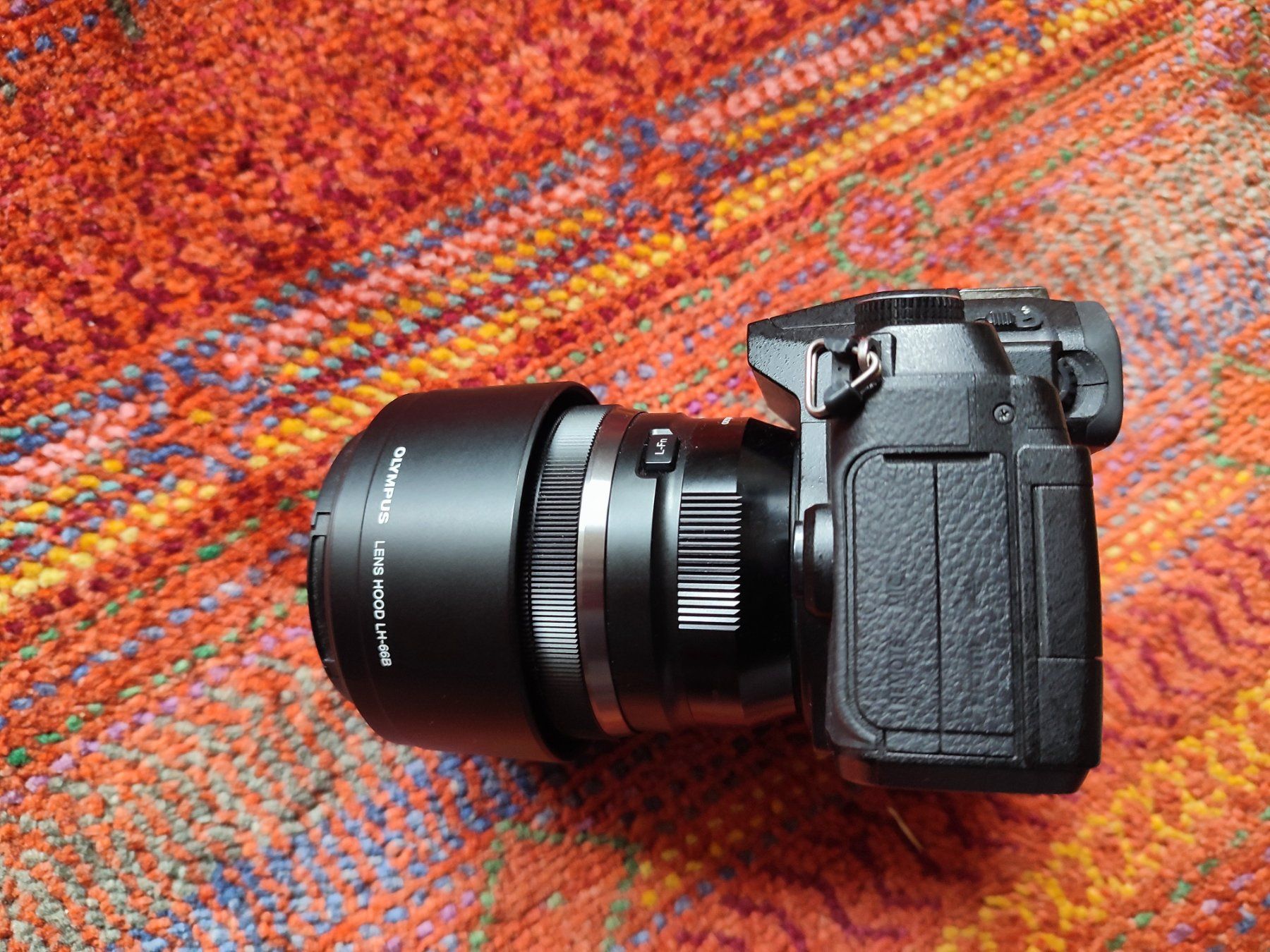 Panasonic Fotocamera: Lumix DMC-G81 plus objectif Lumix 100-300mm – Usato da Confignon venduto da nar_9q26 7
