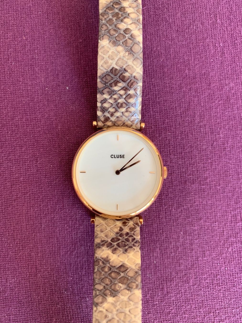 Cluse Uhren: Klassisch schöne Armband Uhr von Cluse – Gebraucht aus Wald AR von bertli00 1
