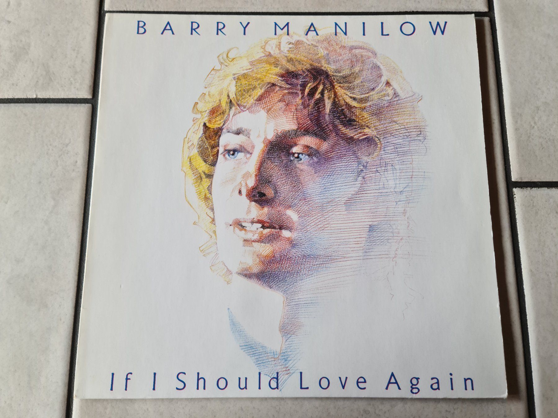 Dischi in vinile: Barry Manilow  -  If i Should Love Again – Usato da Schneisingen venduto da backstore24 1