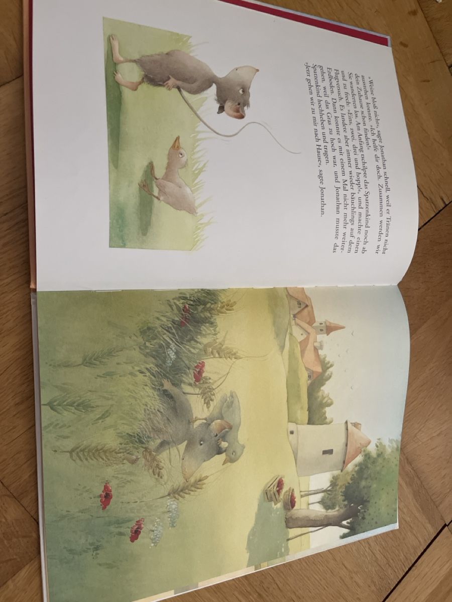 Bücher: Jonathan Spatzenvater Kinderbuch Ingrid Ostheeren Agnes Math – Gebraucht aus Bern von ste_skb2 2