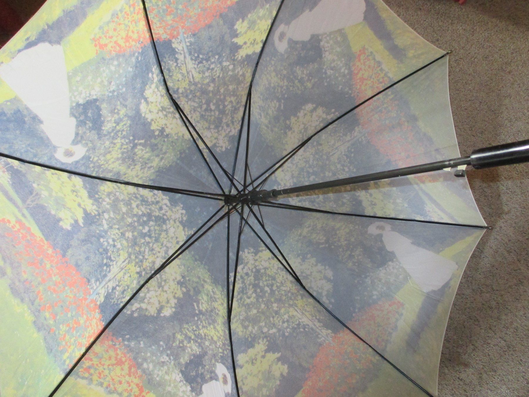 Ombrelli: Claude Monet Regenschirm – Usato da Flims - Dorf venduto da Stagediver 1