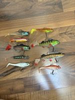 9 verschiedene Köderfische