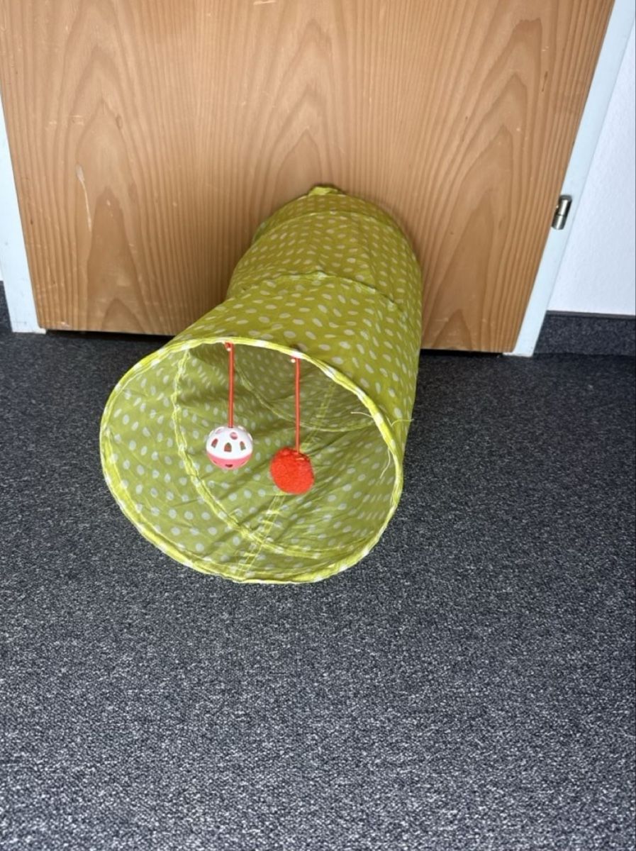 Jouets: Katzenzubehör Set gebraucht – D'occasion à Wohlen AG par jan_9l9q 3