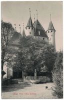 Thun, das Schloss mit Hund, gelaufen 1911