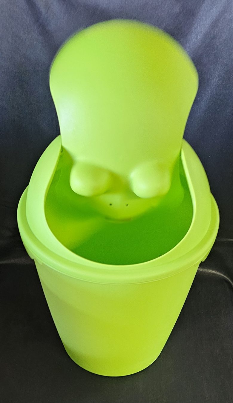 Altro per la casa: Abfalleimer Frosch Design Kinder Eimer  grün, 6 l – Usato da Wangen b. Olten venduto da ErikaK06 4