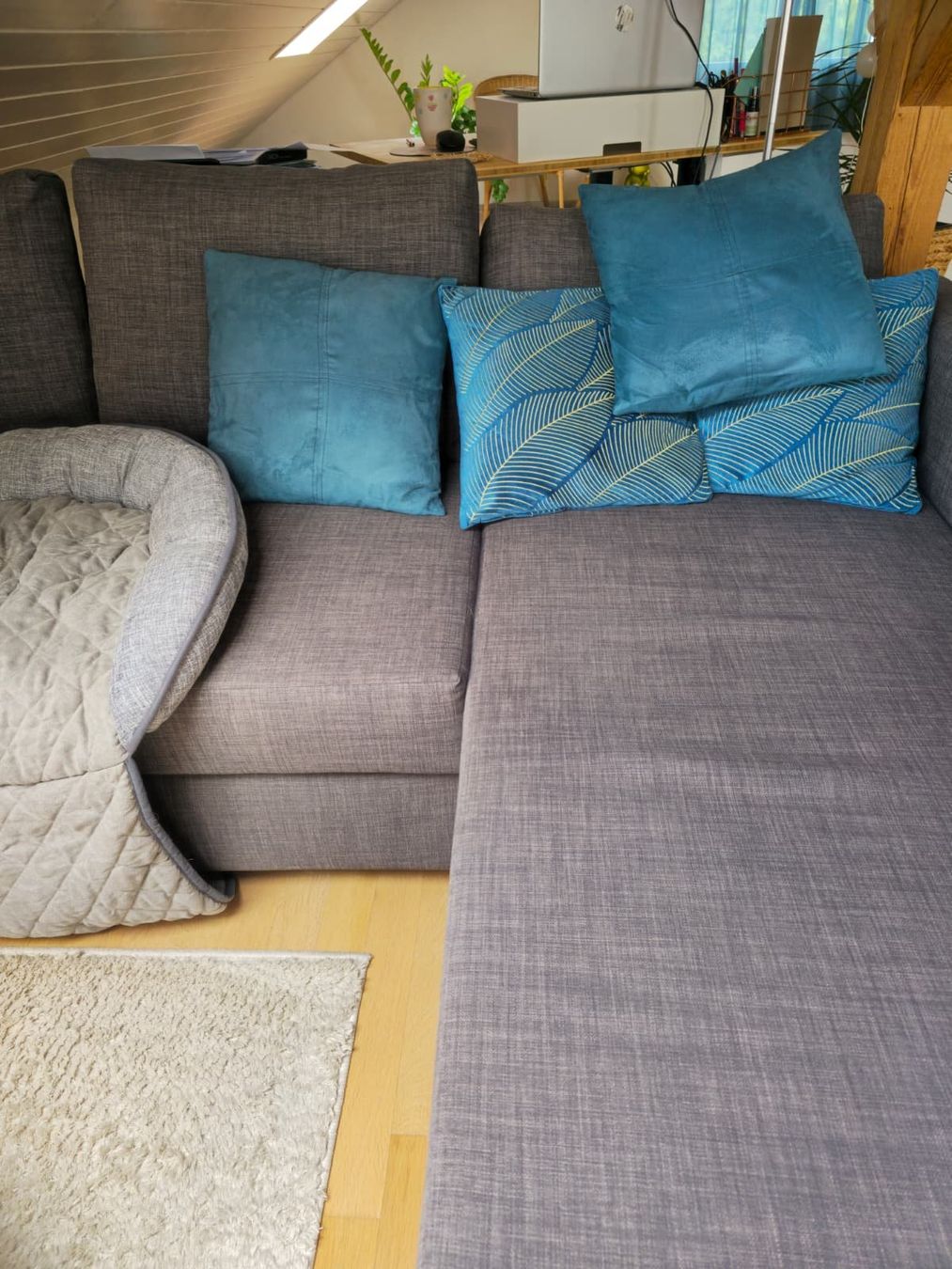 Ikea Divani: Schlafsofa Ikea – Usato da Volketswil venduto da Janavana 2