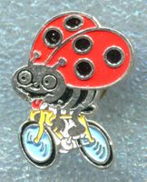 BLICK Käfer  mit Fahrrad