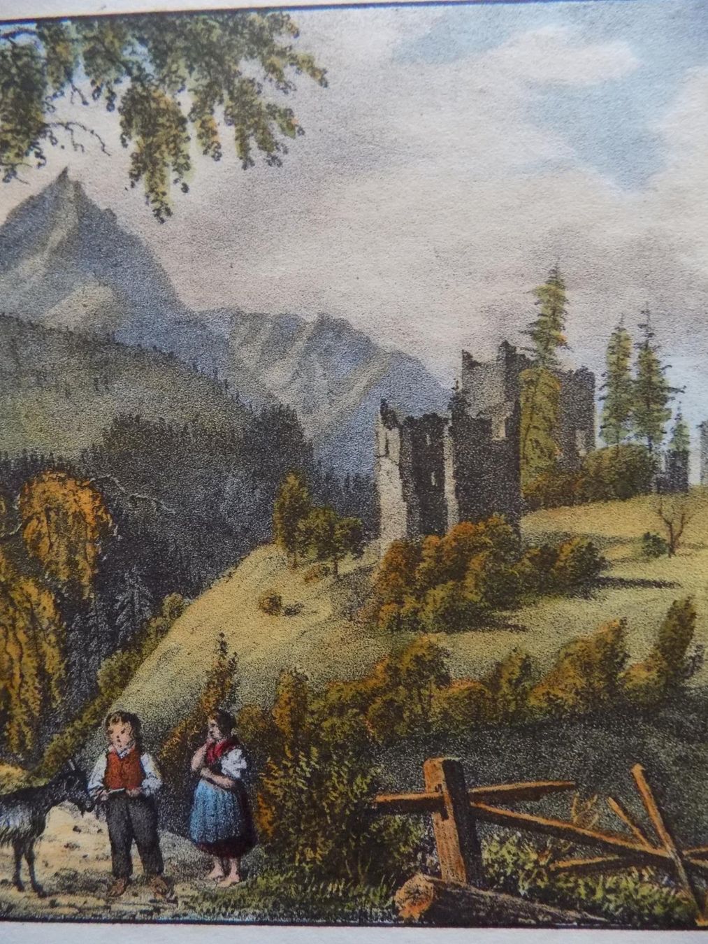 Stiche: Hoch Realta kolorierte Lithographie – Gebraucht aus Risch von Antikfee 6