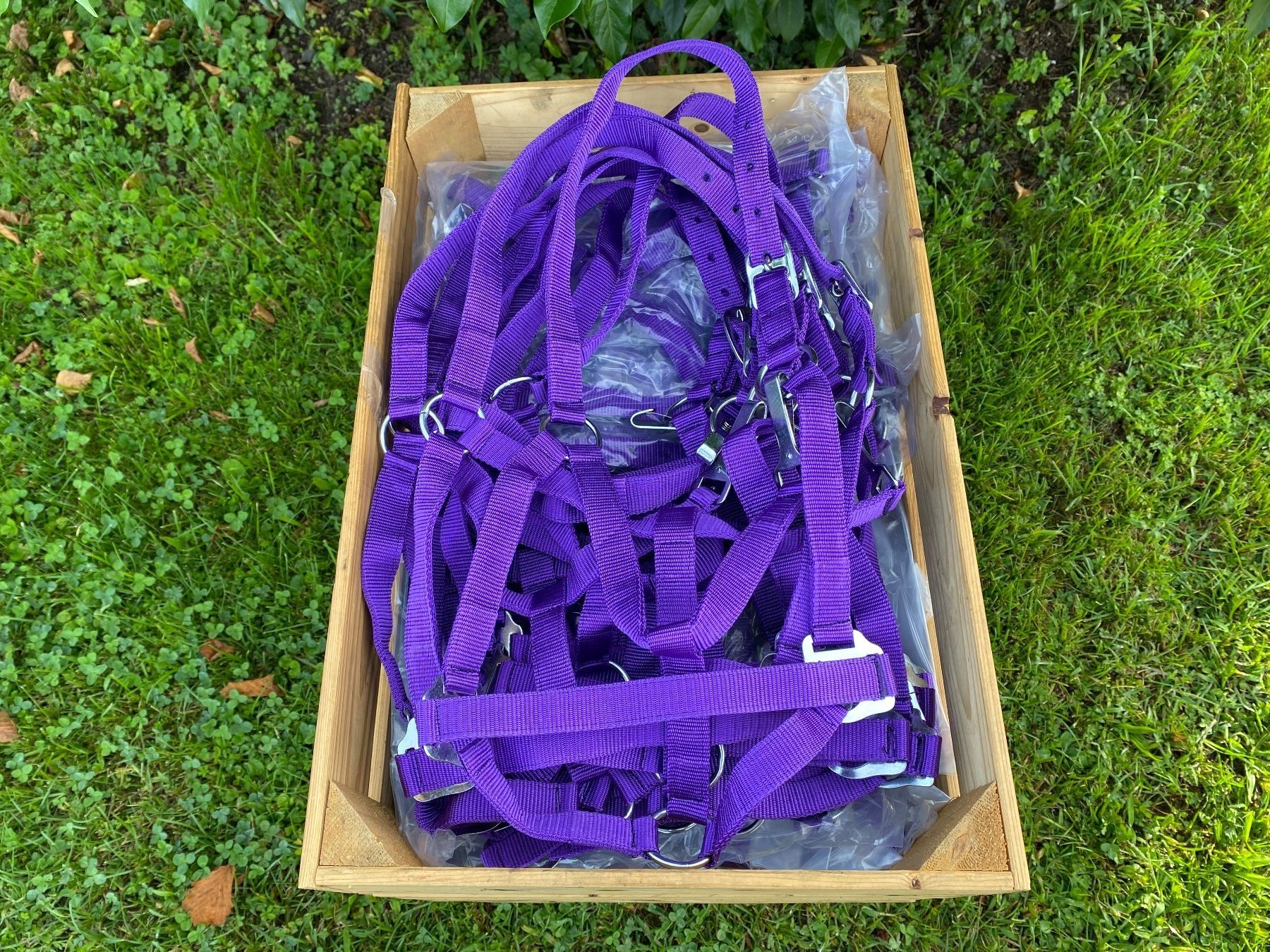 Briglie & Cavezze: 50 schöne Nylonhalftern – Usato da Feldbach venduto da Fea1 9