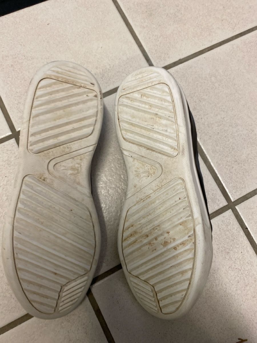 Lacoste Scarpe per ragazzi: Sneaker Lacoste 39.5 – Usato da Killwangen venduto da Sommer15 2