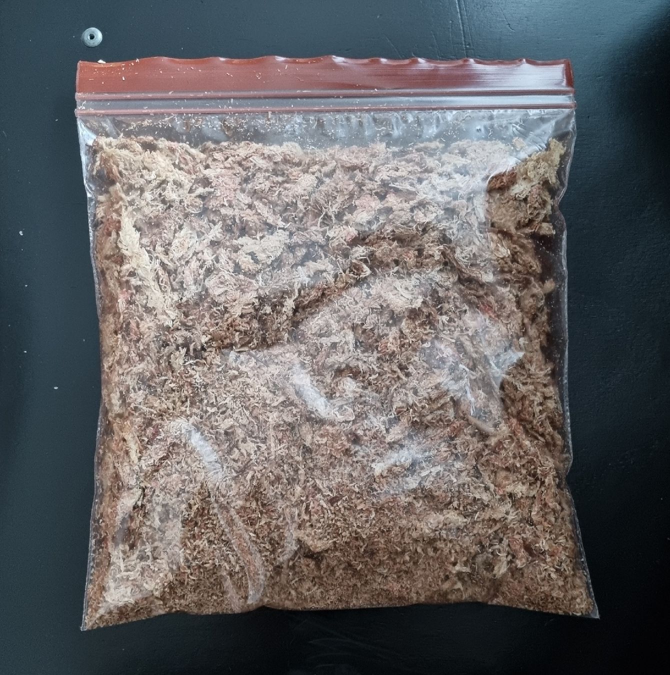 Piante & sementi: Sphagnum Moos trocken – Nuovo (secondo la descrizione) da Oberentfelden venduto da Myri13