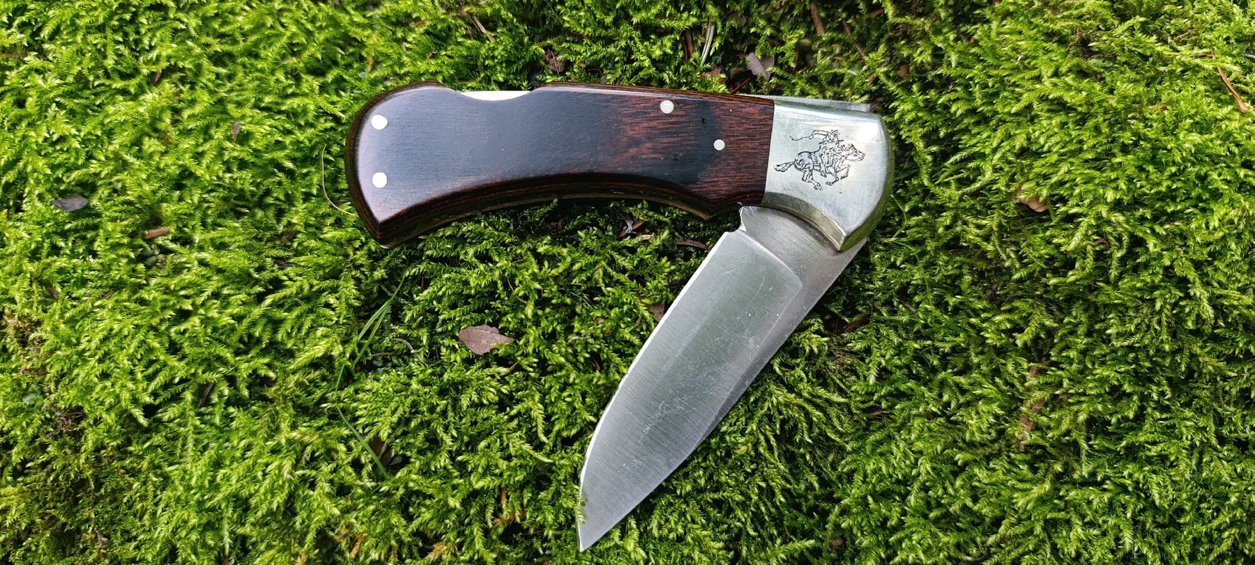 Winchester Coltelli tascabile: Winchester Taschenmesser  – Nuovo e nell'imballaggio originale da Oppligen venduto da can_rf8g 2