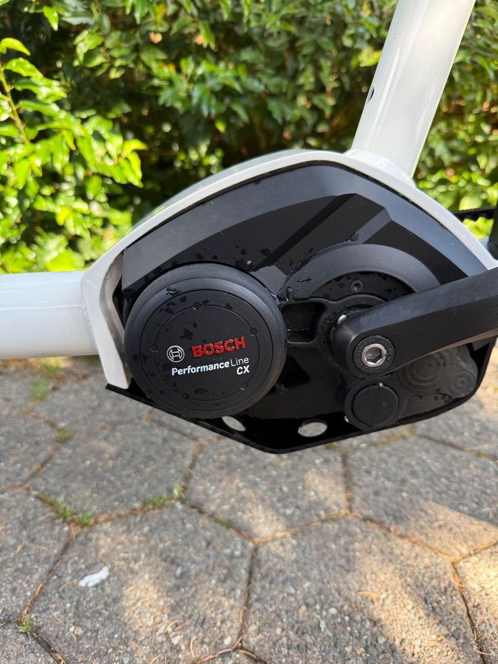 Velos: Lastenfahrrad Bucher and Bicycle – Gebraucht aus Adliswil von Haldi7023 5