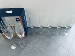 Champagnergläser 7 Stück