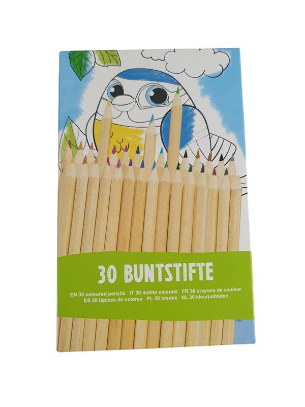 Penna & Evidenziatori: 30 Buntstifte – Usato da Wangen b. Olten venduto da Restwert_Wangen