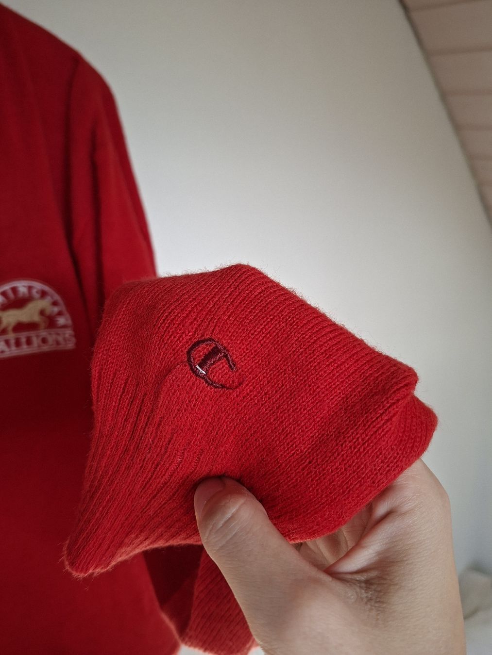 Champion Pulls & Sweat-shirts: Pull Champion vintage - Taille L – D'occasion à Lausanne par Super-cerise 3