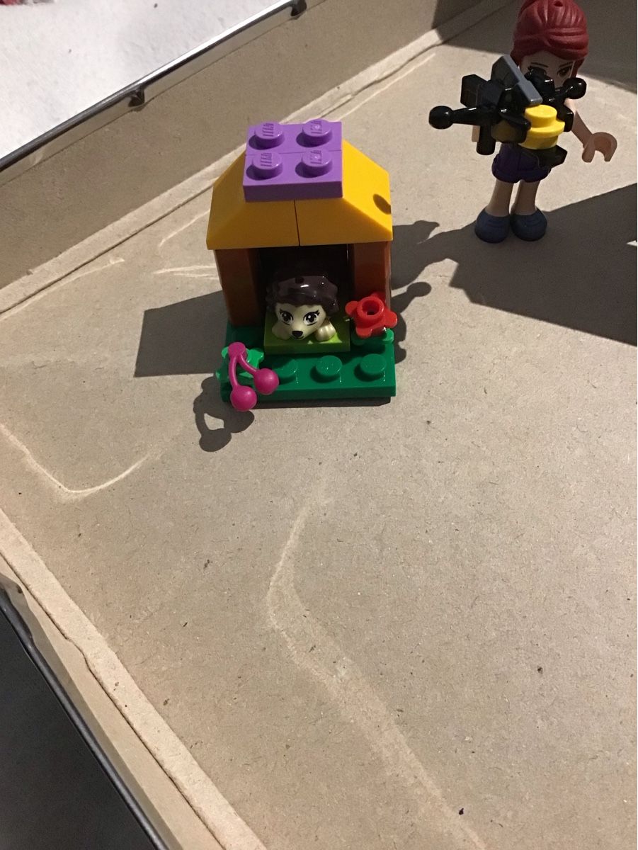 Lego Giocattoli: Lego Friends – Usato da Lyss venduto da frostis 4
