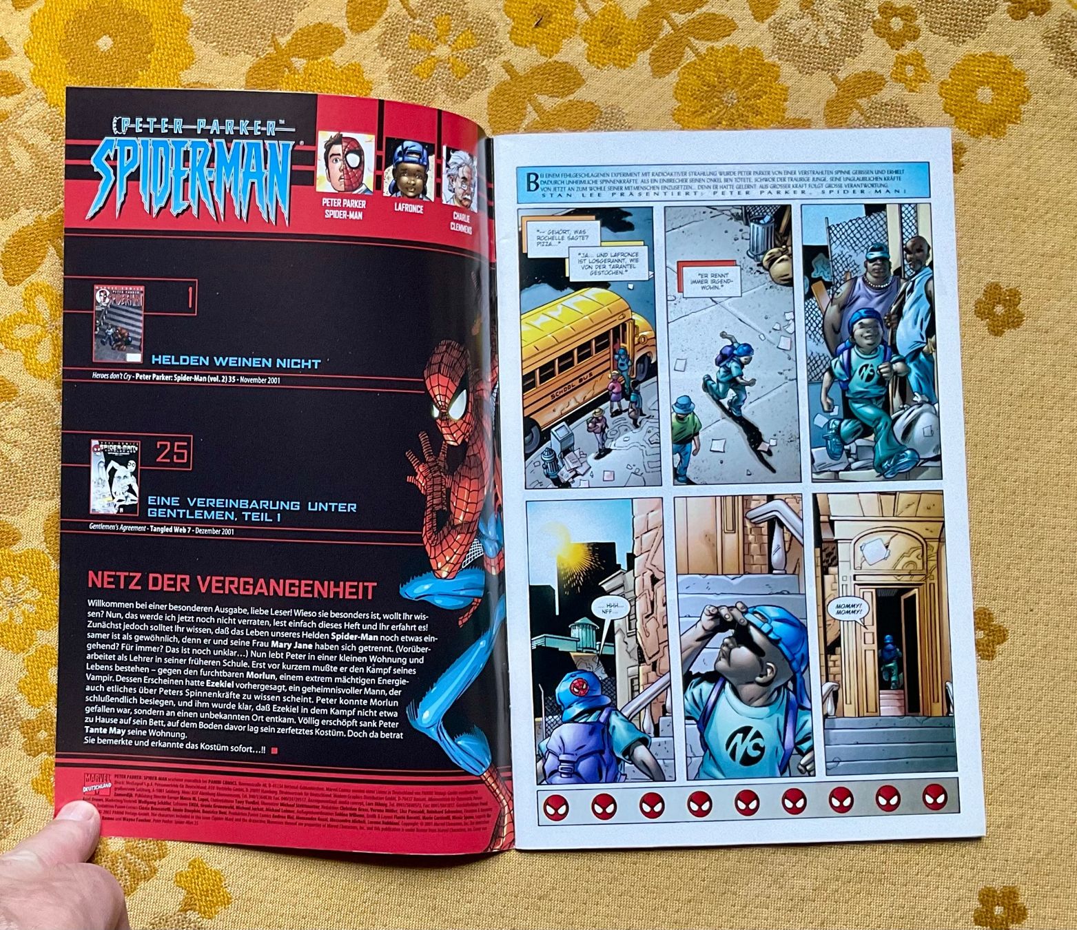 Comics: Peter Parker Spider-Man Heft Nr 22 von 2002 – Gebraucht aus Endingen von nathan05 1