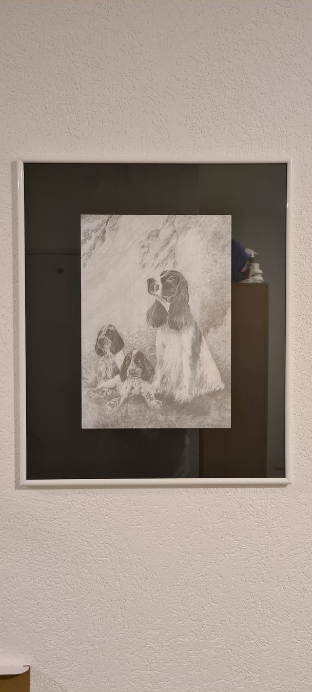 Dipinti: Tableau décoratif chiens Springer Spaniel, encadré, neuf – Nuovo (secondo la descrizione) da Prévondavaux venduto da ama_lwd6 2